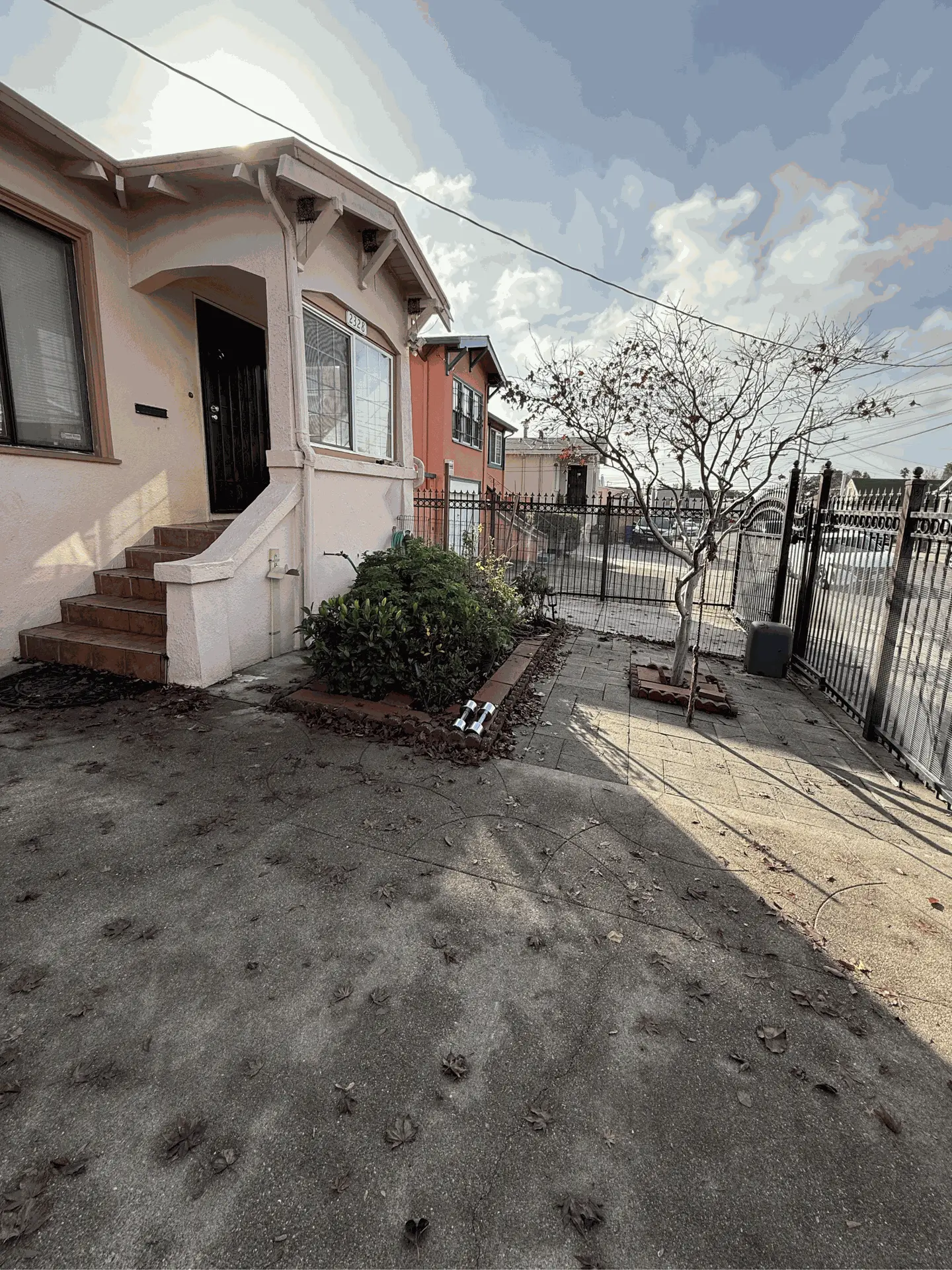 Before: A dirty yard filled with old leaves and dirt on the driveway