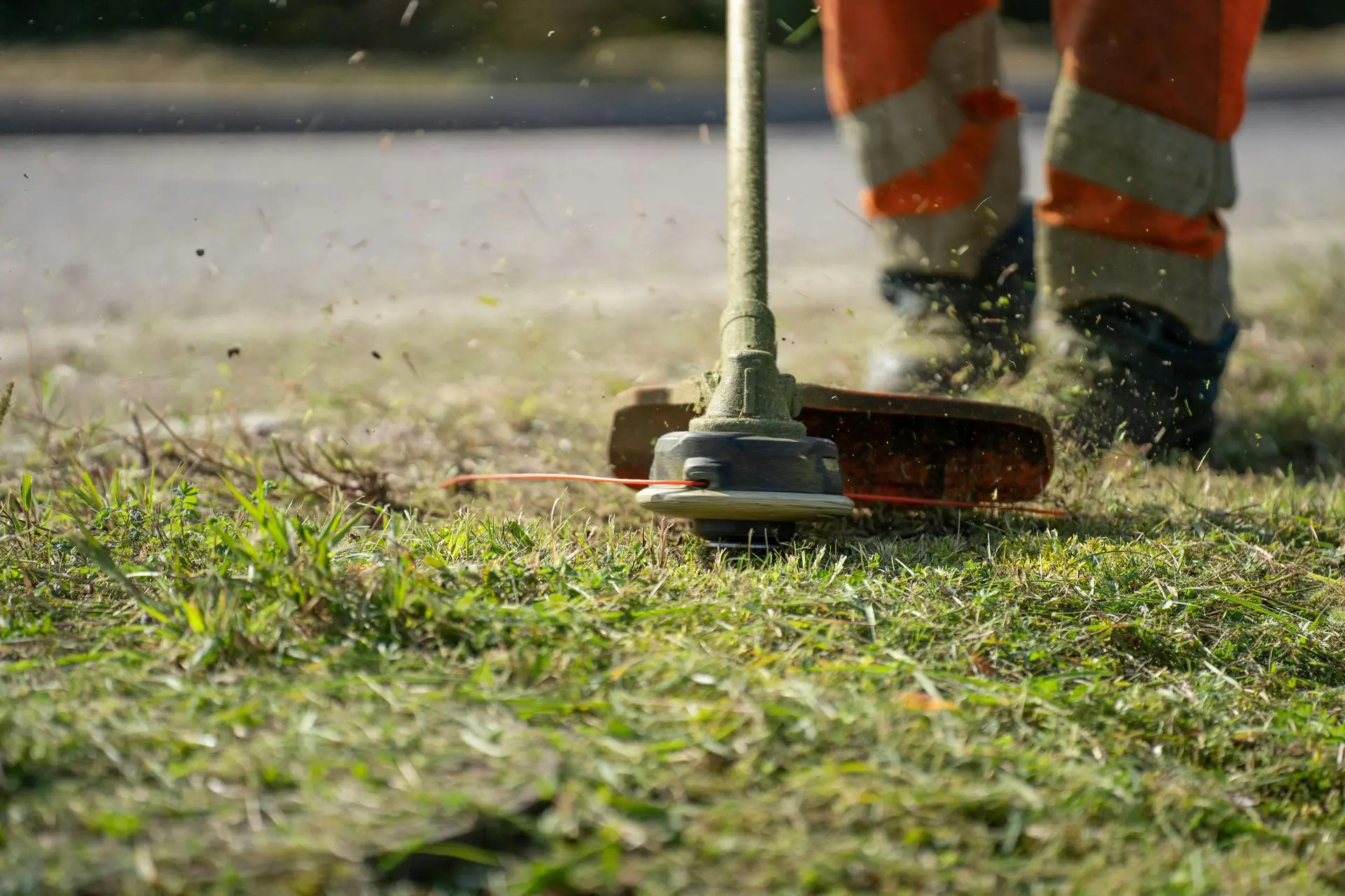 Weed trimmer being used to cut a lawn short