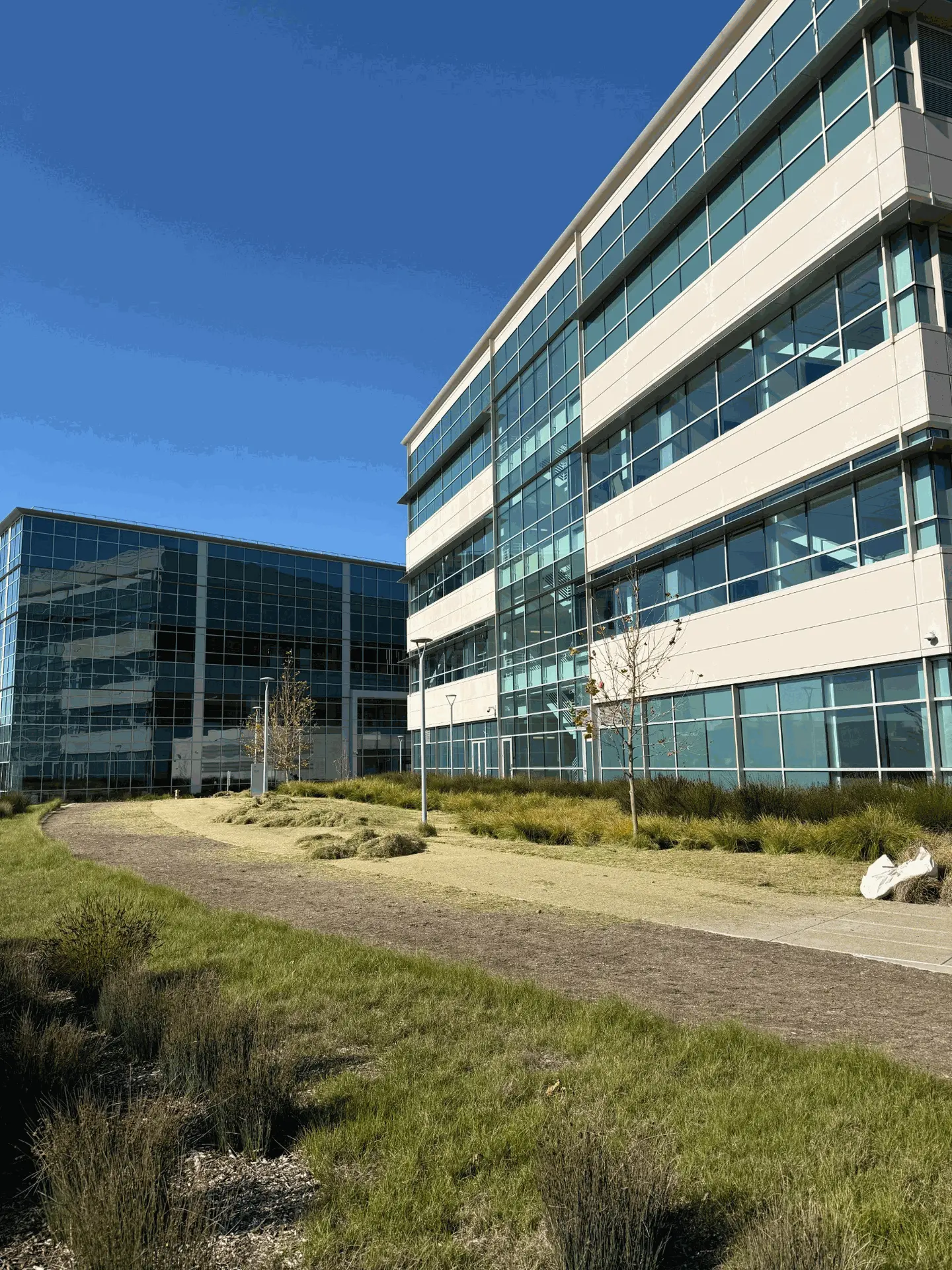 Corporate building alongside a trial near the water on a sunny day